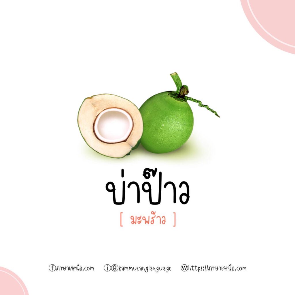 มัดรวม 20 คำศัพท์ผลไม้ภาษาเหนือ - ภาษาเหนือ